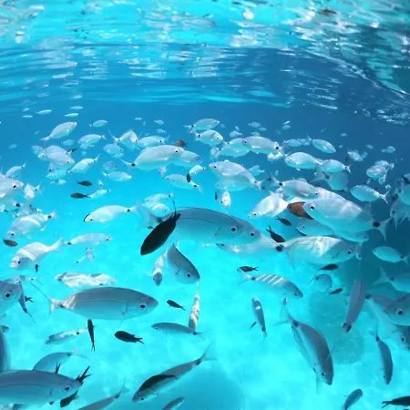 La Casa Di Adele Oda ve Kahvaltı Cagliari