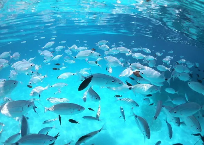 La Casa Di Adele Bed and breakfast Cagliari