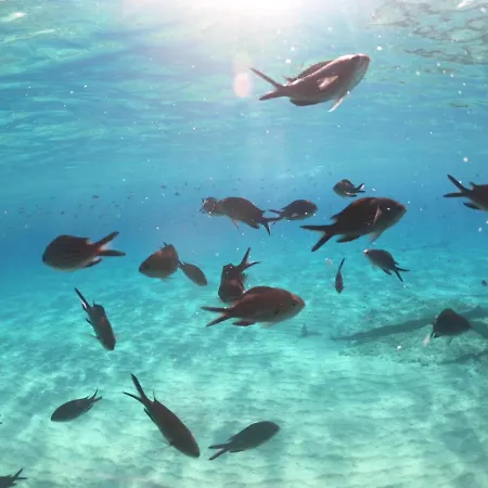 La Casa Di Adele 4* カリアリ