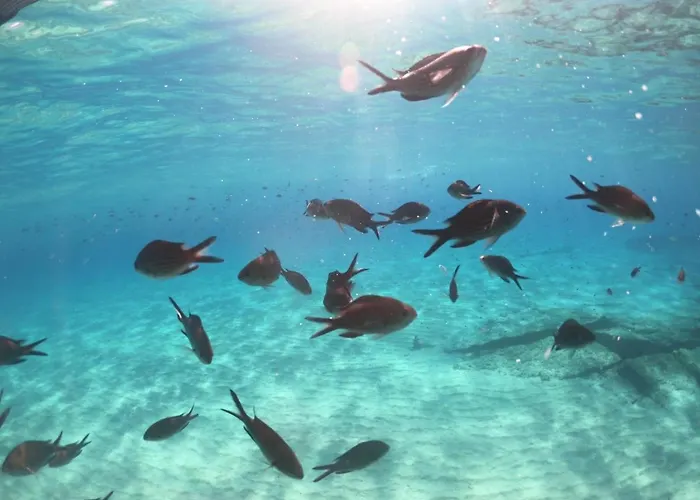 La Casa Di Adele 4* קליארי